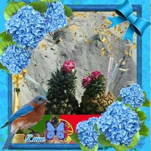 Meet your Posher, Denise